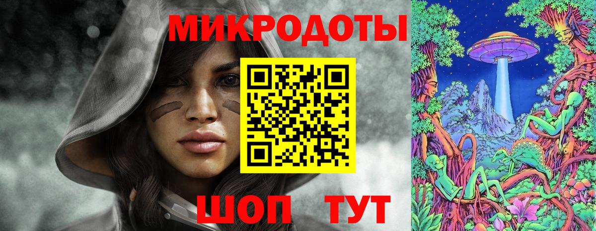 Галлюциногенные грибы Psilocybine cubensis Тверь