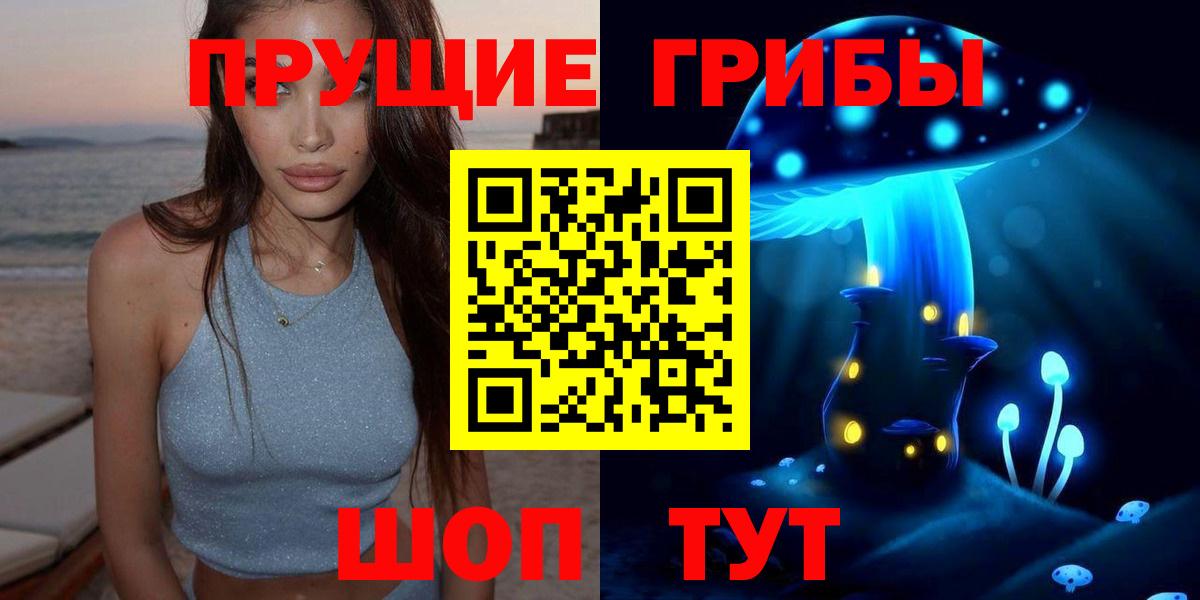 как найти   Псилоцибиновые грибы Cubensis  Вход с VPN  Тверь 